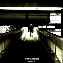 Album cover of fluctuation