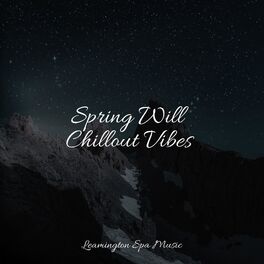 Album cover of Spring Will Chillout Vibes