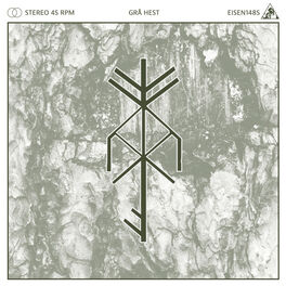 Album cover of Grå Hest