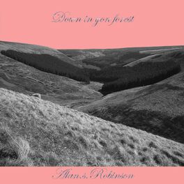 Album cover of Down in Yon Forest