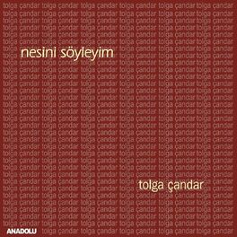 Album cover of Nesini Söyleyim