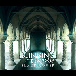 Album cover of Black Rover