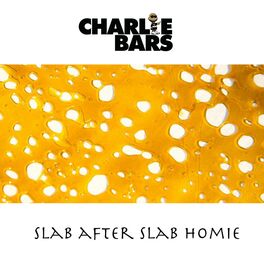 Album cover of Slab After Slab Homie