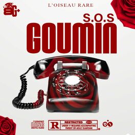 Album cover of Sos Goumin