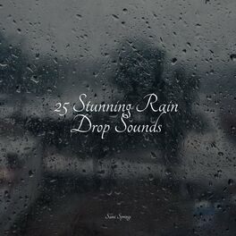 Album cover of 25 Stunning Rain Drop Sounds