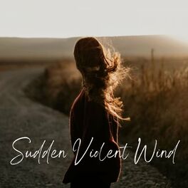 Album cover of Sudden Violent Wind