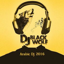 Album cover of Arabic DJ 2016