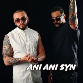 Album cover of Tingulli Trent ft. Flori - Ani Ani Syn