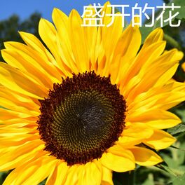 Album cover of 盛开的花