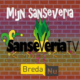 Album cover of Mijn Sanseveria