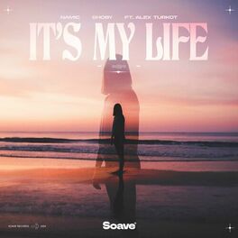 Album cover of It's My Life (feat. Alex Turkot)