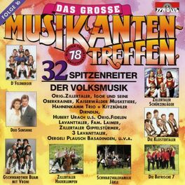 Album cover of Das große Musikantentreffen - Folge 16
