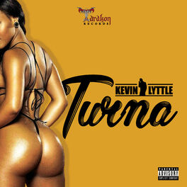 Album cover of Turna