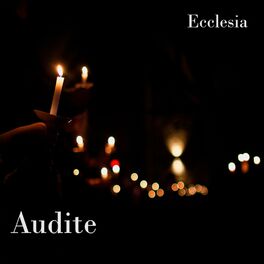 Album cover of Audite