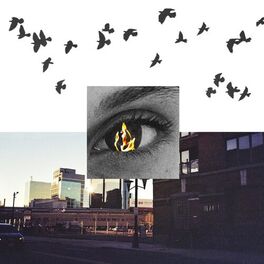 Album cover of Birds Like Little Soldiers