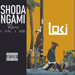 Album cover of Shoda Ngami (Remix)