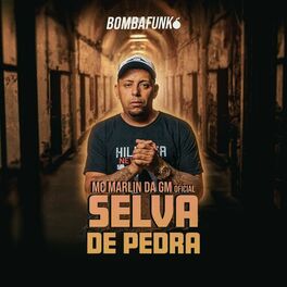 Album cover of Selva de Pedra