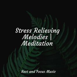 Album cover of Stress Relieving Melodies | Meditation