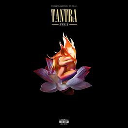 Album cover of Tantra (feat. Ye Ali) [Remix]