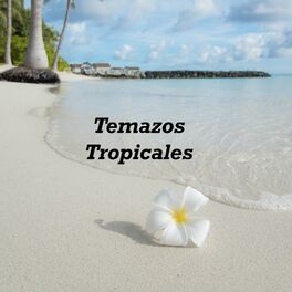 Album cover of Temazos Tropicales