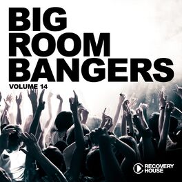 Album cover of Big Room Bangers, Vol. 14
