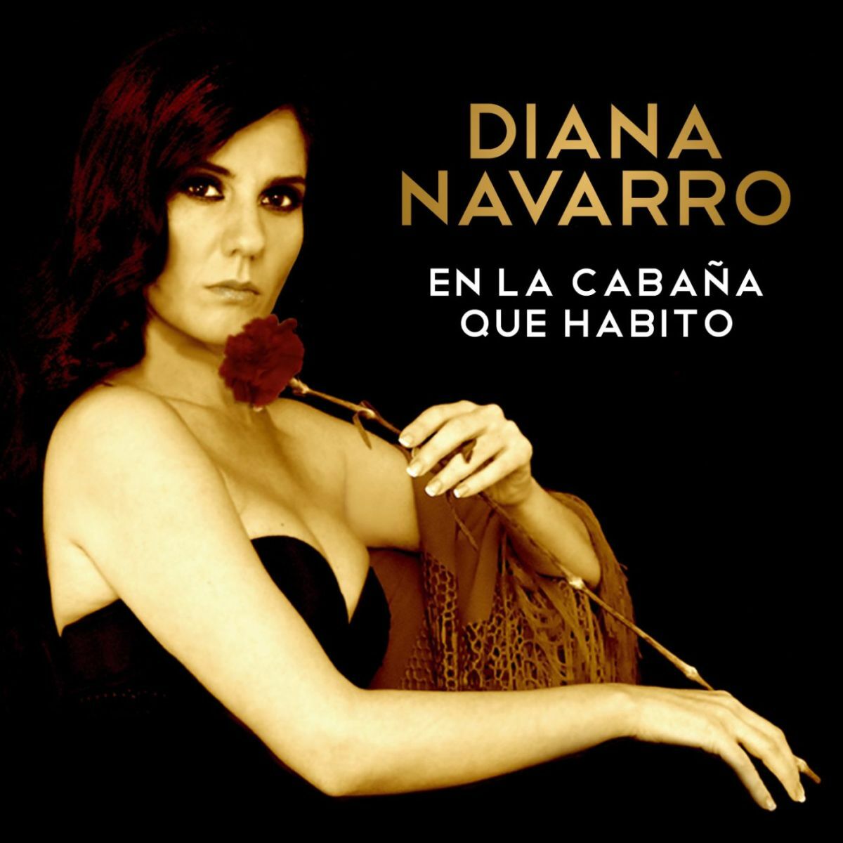 Musik von Diana Navarro: Alben, Lieder, Songtexte | Auf Deezer hören