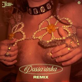 Album cover of Passarinha (Malifoo, DUAL CHANNELS Remix)