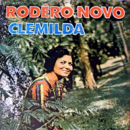 Album cover of Rodêro Novo