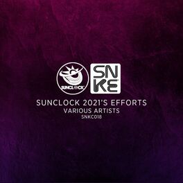 Album cover of Sunclock 2021's Efforts
