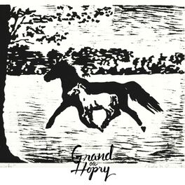 Album cover of Grand Ole Hopry