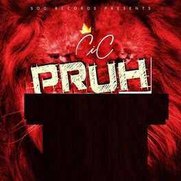 Album cover of Pruh