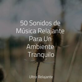 50 Música Relajante Zen: Música de Ambiente para Yoga y