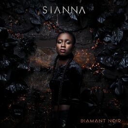Album cover of Diamant noir