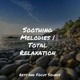 Album cover of Soothing Melodies | Total Relaxation