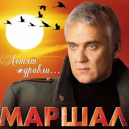 Album cover of Летят журавли...