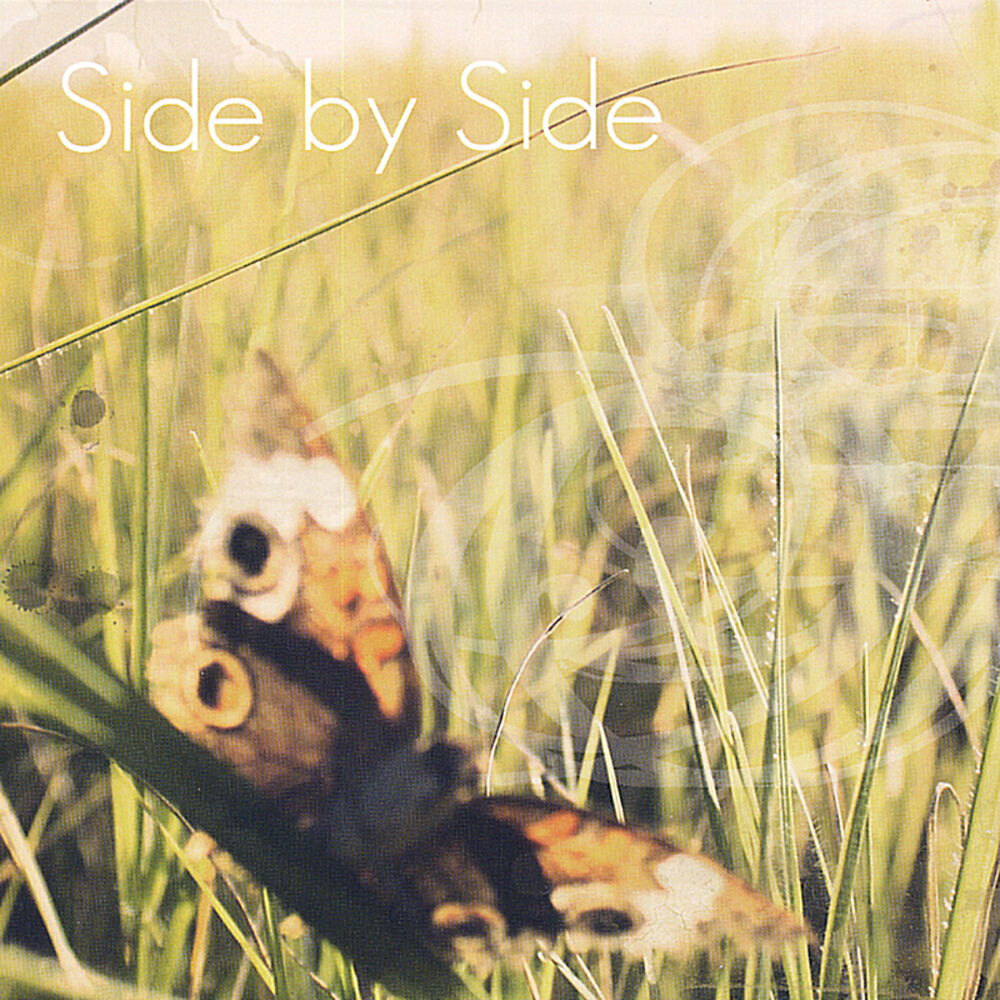 Side by Side песня. Side by Side послушать. Both Sides of the Sky. Популярная песня Side by Side.