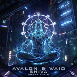 Album cover of Shiva (Webra Remix)