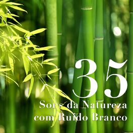 Album cover of 35 Sons da Natureza com Ruído Branco