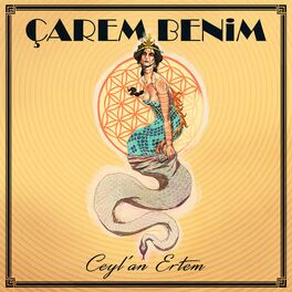 Album cover of Çarem Benim