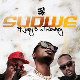 Album cover of Sudwe