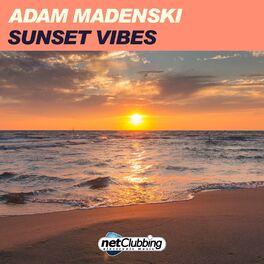 Album cover of Sunset Vibes