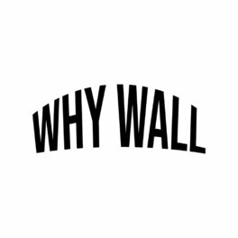 Album cover of WHY WALL