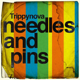 Album cover of Needles and Pins