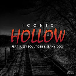 Album cover of Hollow