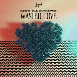 Album cover of Wasted Love (The Remixes)