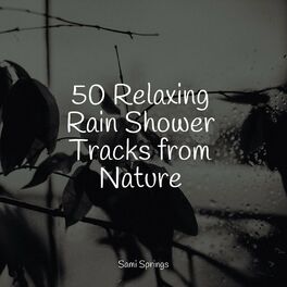 Album cover of 50 Relaxing Rain Shower Tracks from Nature