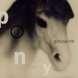 Album cover of Pony
