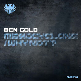 Album cover of Mesocyclone / Why Not?
