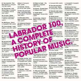 Album cover of Labrador 100 - A Complete History of Popular Music