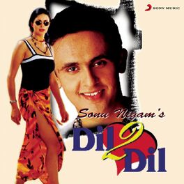 Album cover of Dil 2 Dil
